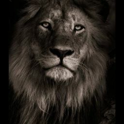 Chad Tucker Photo 27 Chad Tucker Photo 27