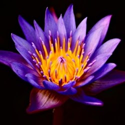 Melissa Delgado Photo 22