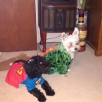 Catherine Swain Photo 11