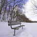 Erin Mills Photo 12
