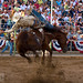 Steven Ogden Photo 31