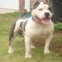 Kelly Faircloth Photo 11