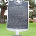 Ann Alvey Photo 4
