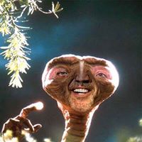 Andrew Buckley Photo 52