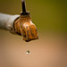 Shailendra Singh Photo 29