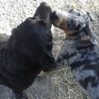 Julie Landon Photo 12