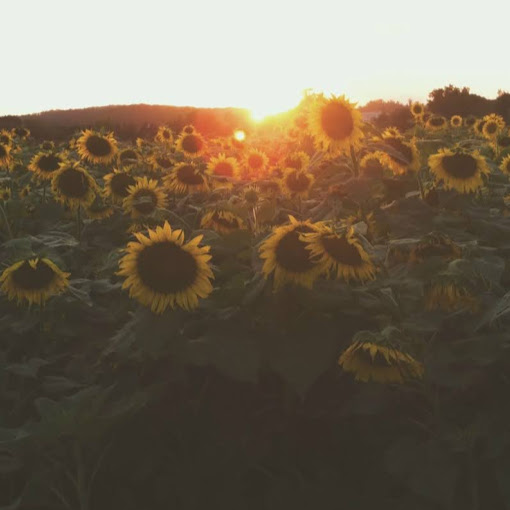 Sarah Engle Photo 36