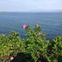 Debra Gannon Photo 4