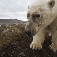 Pamela Hurt Photo 18