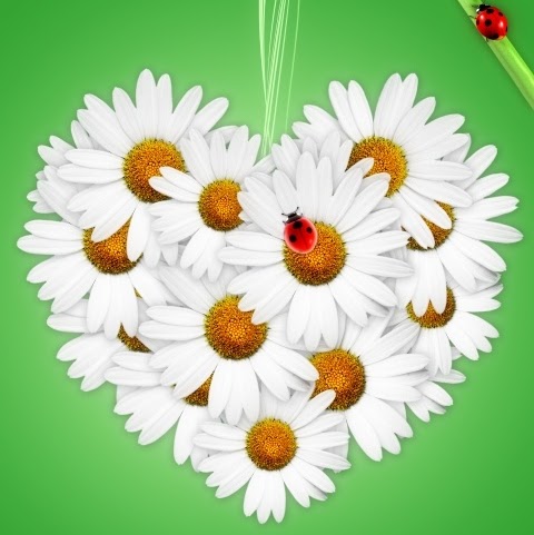 Jane Porter Photo 6 Jane Porter Photo 6