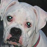 Jim Walters Photo 13