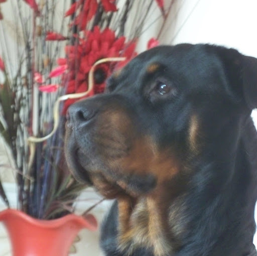 Lorraine Garner Photo 3