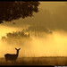 Dawn Hinds Photo 20