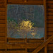 Janice Downs Photo 29