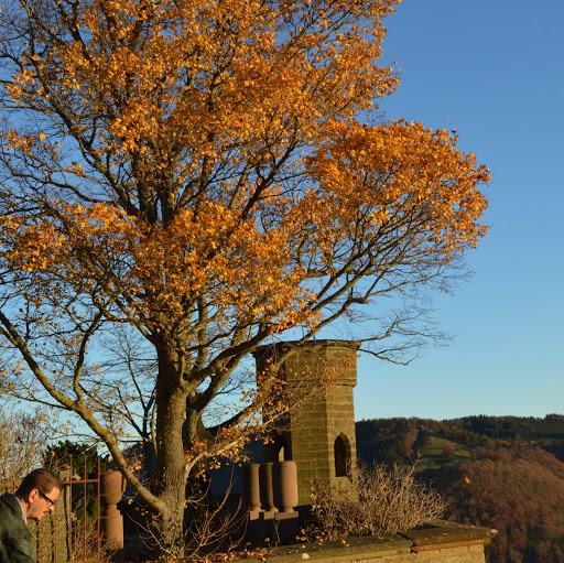 Daniel Rauch Photo 31 Daniel Rauch Photo 31