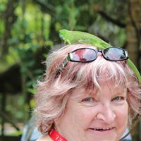 Dawn Newsome Photo 10