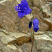 Sam Merrill Photo 14