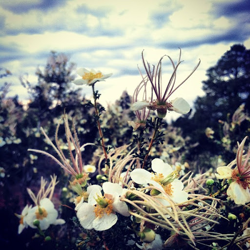 Heather Strong Photo 11