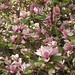 Jane Bloom Photo 8