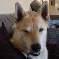 Kelly Dunham Photo 22