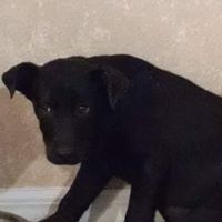 Sarah Reese Photo 35