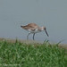 Kenneth Willet Photo 12