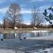 Julia Winters Photo 13