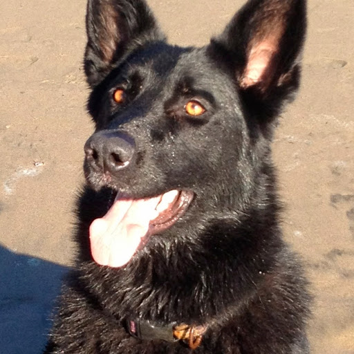 Cynthia Haines Photo 15