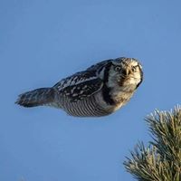 James Brewer Photo 27 James Brewer Photo 27