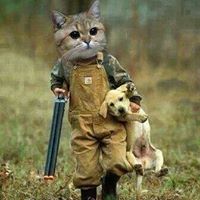 Gilbert Galindo Photo 15