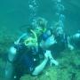 Deborah Bates Photo 24