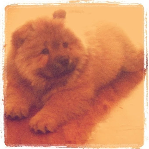 Cheryl Lancaster Photo 8