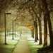 April Snow Photo 24
