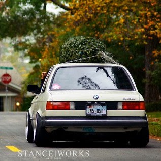 Timothy Cosgrove Photo 15