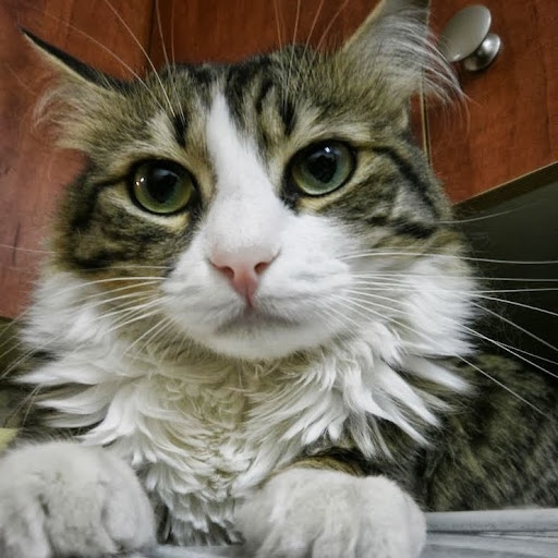 John Levy Photo 45 John Levy Photo 45