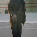 Jason Douglas Photo 27