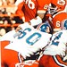 Jerry Buck Photo 6