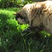 Dusty Hunt Photo 29