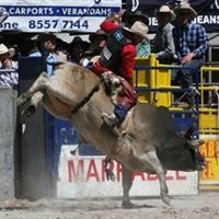 Michael Culbertson Photo 12