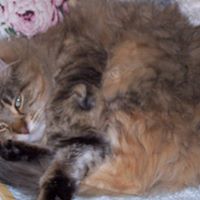 Judith Atkinson Photo 21