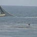 Andrea Hahn Photo 16