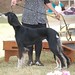 Deborah Ratliff Photo 28