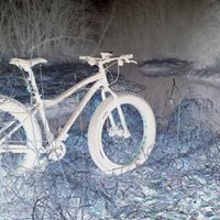 Tracey Crane Photo 9