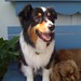 Jackie Shepherd Photo 15