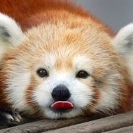 Joshua Gonzalez Photo 9