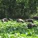 Cathy Hartman Photo 33