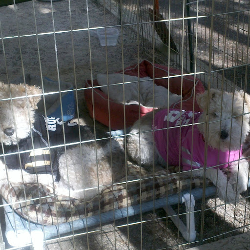 Debra Duran Photo 31