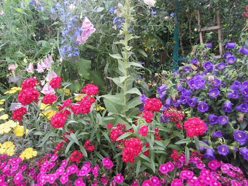 Donna Murphy Photo 36