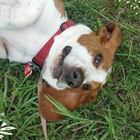 Lisa Geiger Photo 18