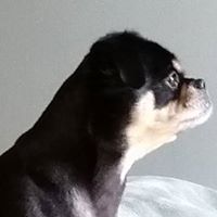 Donna Sprouse Photo 13